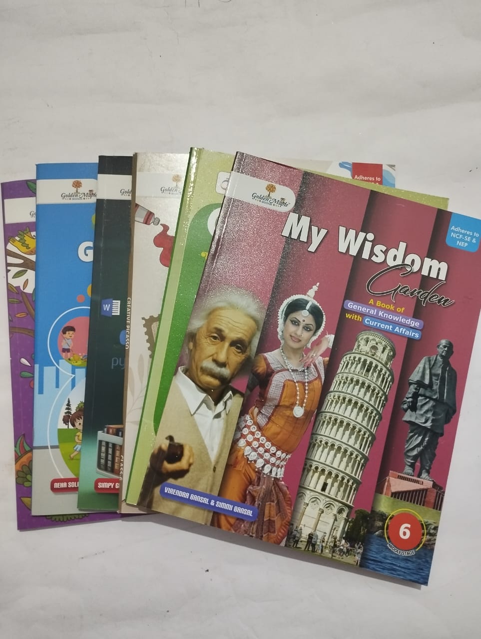 Books Set for Class 6th (English Medium) (St. Chaina Academy)